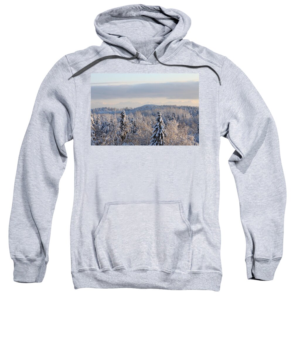 Away From It All Sweatshirt featuring the photograph Snowy forest seen from above by Ulrich Kunst And Bettina Scheidulin