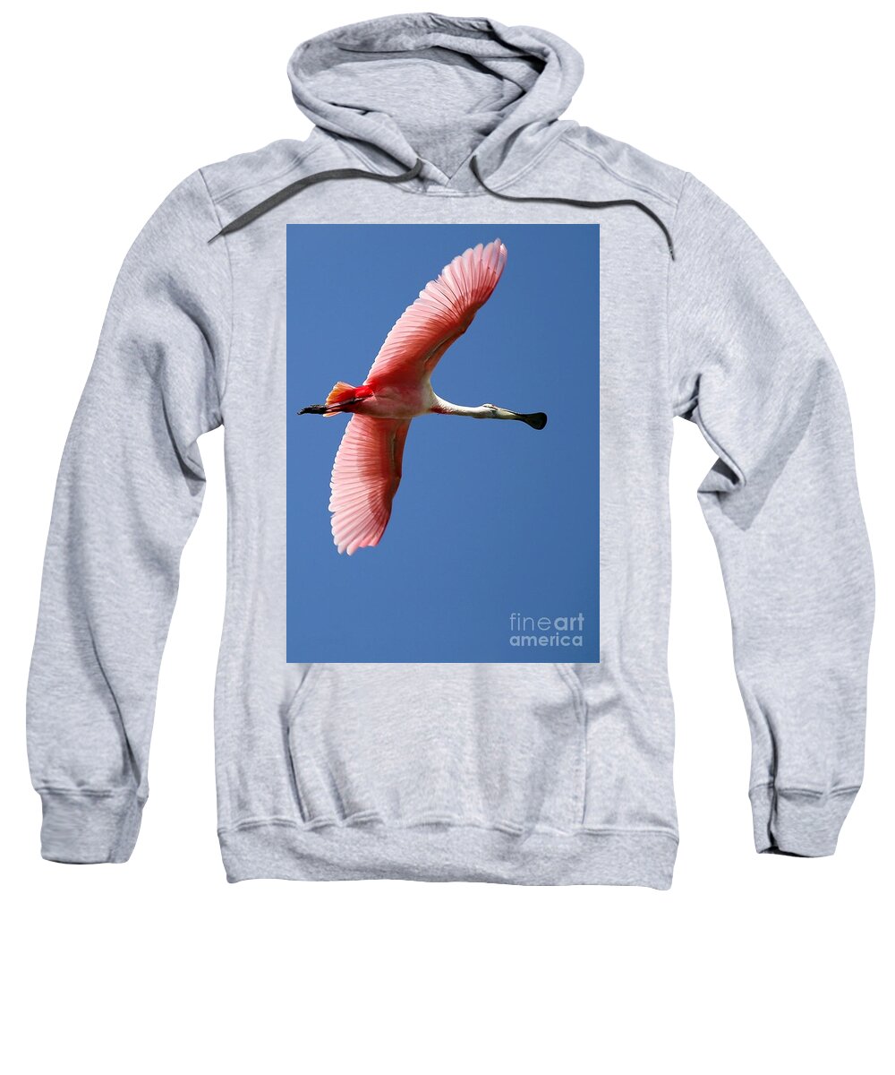 Animal Sweatshirt featuring the photograph Soaring High Roseate Spoonbill by Sabrina L Ryan