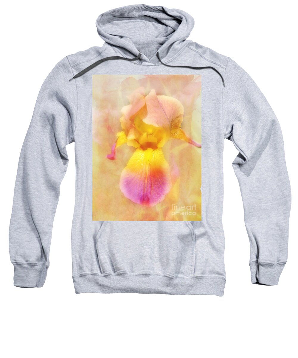 Beautiful Iris Sweatshirt featuring the photograph Soft Pink and Yellow Iris by Peggy Franz