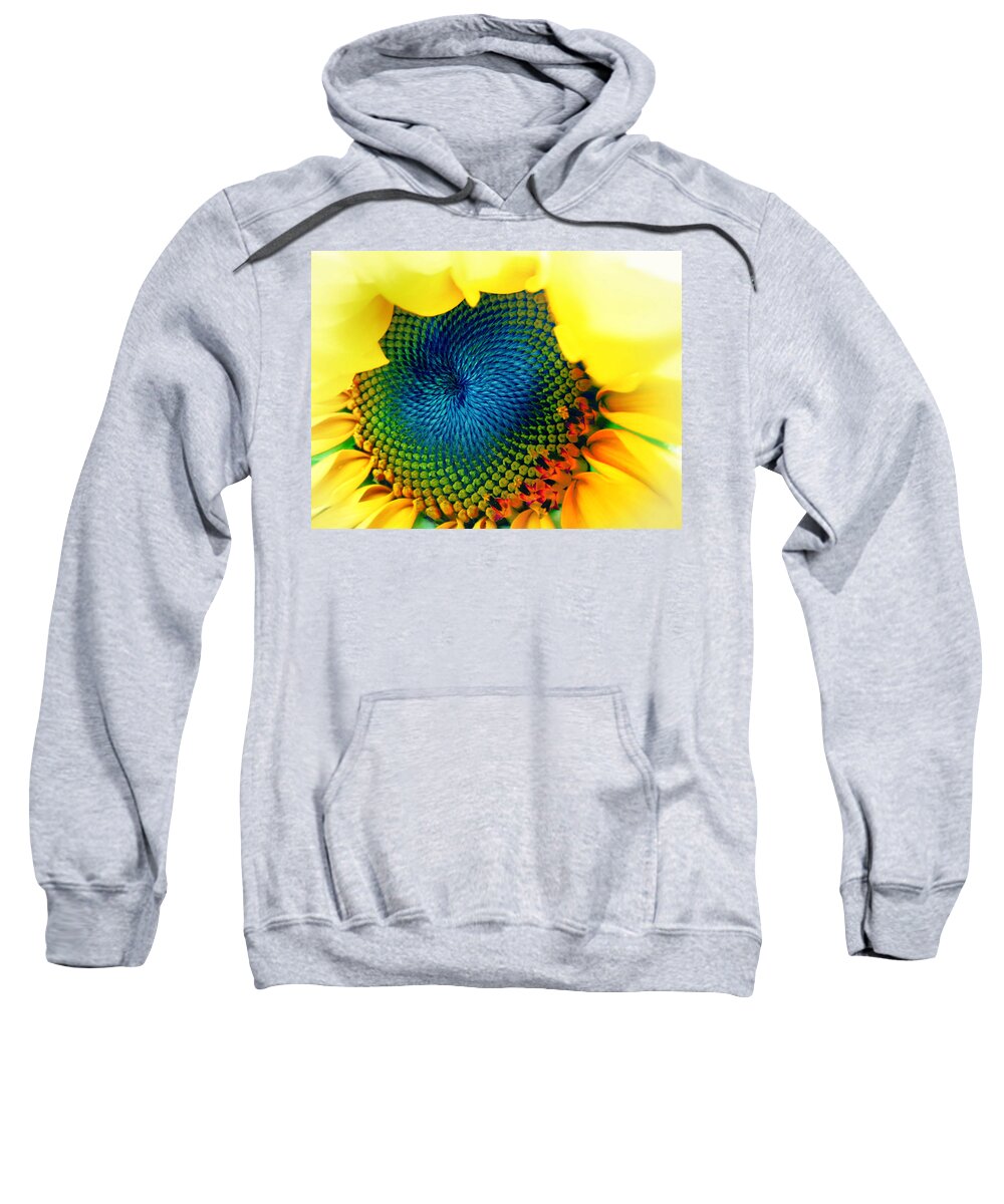Sunflower Sweatshirt featuring the photograph Solar Energy by Marianna Mills