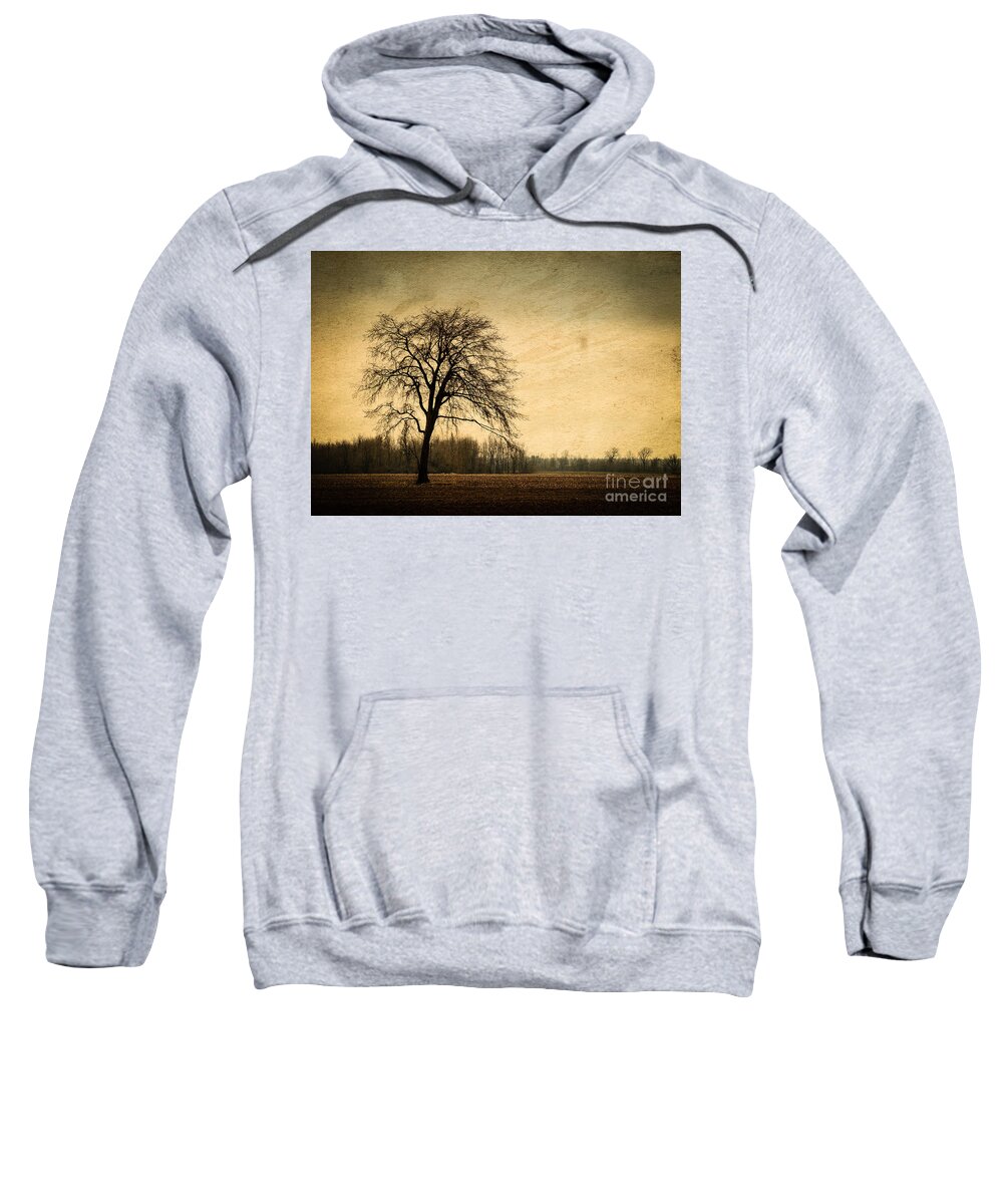 Tree Sweatshirt featuring the photograph Solitary Tree by Bianca Nadeau
