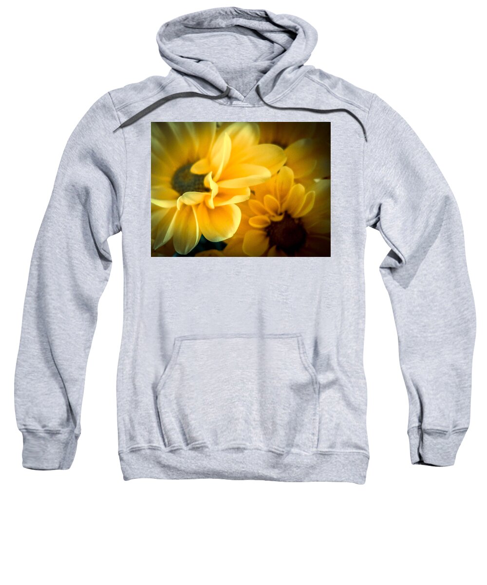 Flower Sweatshirt featuring the photograph Spring Mums by Judy Hall-Folde