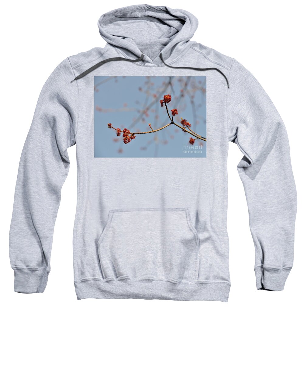 Spring Sweatshirt featuring the photograph Spring Promise by Jola Martysz