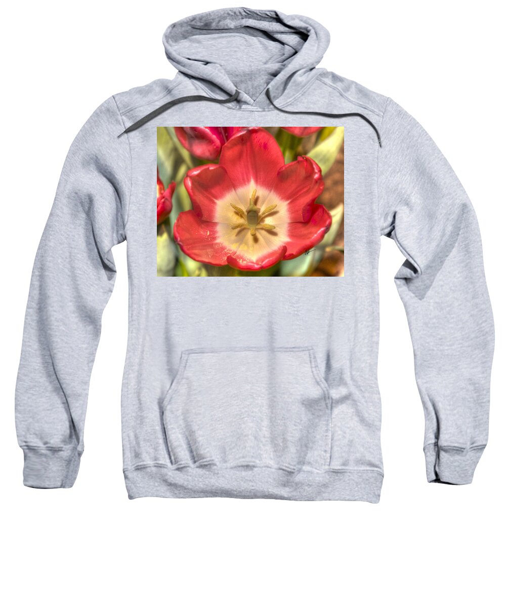 Spring Sweatshirt featuring the photograph Spring Red Tulip by Mark Valentine