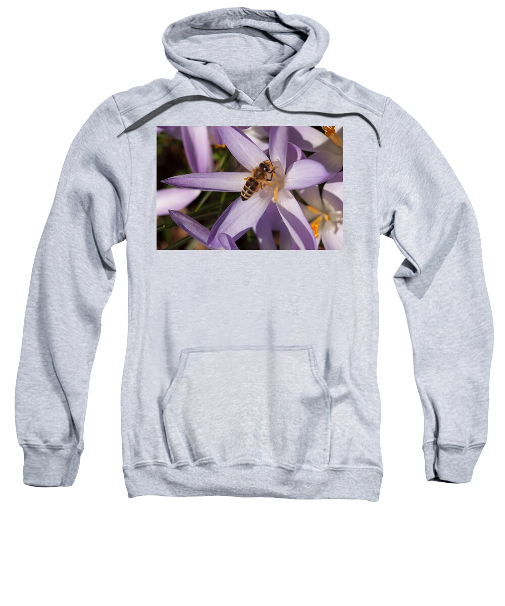 Spring Sweatshirt featuring the photograph Spring's Welcome by Miguel Winterpacht