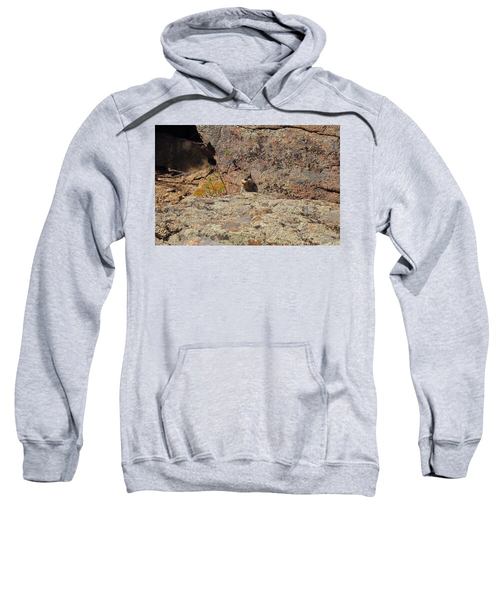 Phil Welsher Sweatshirt featuring the photograph Squirrels Love a Peanut by Phil Welsher