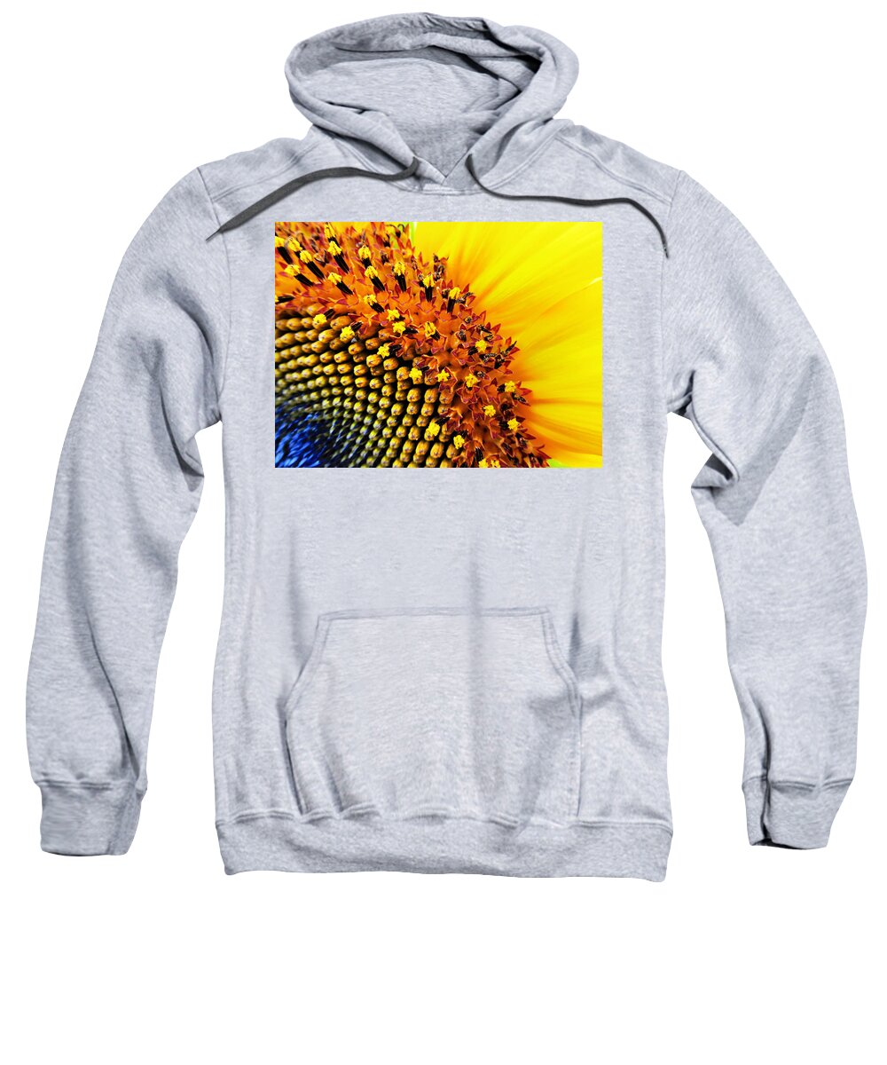 Sunflower Sweatshirt featuring the photograph Stars of The Sun by Marianna Mills