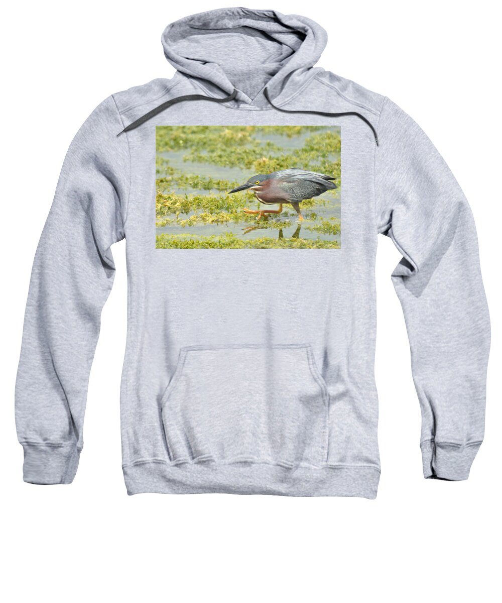 Green Sweatshirt featuring the photograph Stepping Out by Frank Madia