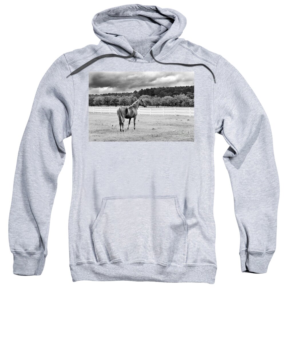 Hansen Sweatshirt featuring the photograph Stormy Pasture by Scott Hansen