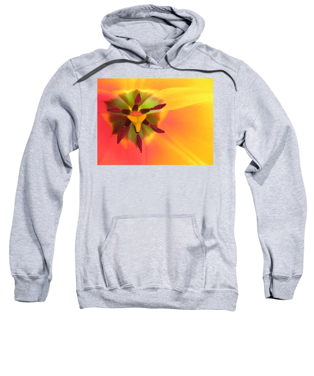 Sunny Sweatshirt featuring the photograph Sunburst 2 by Carolyn Jacob