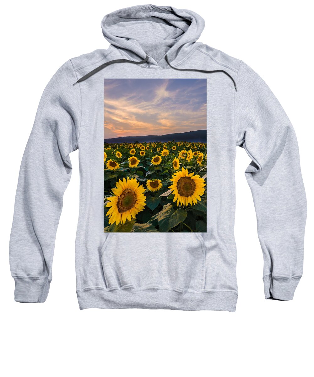 Sunflower Sweatshirt featuring the photograph Sunflower Sunset by Mark Rogers