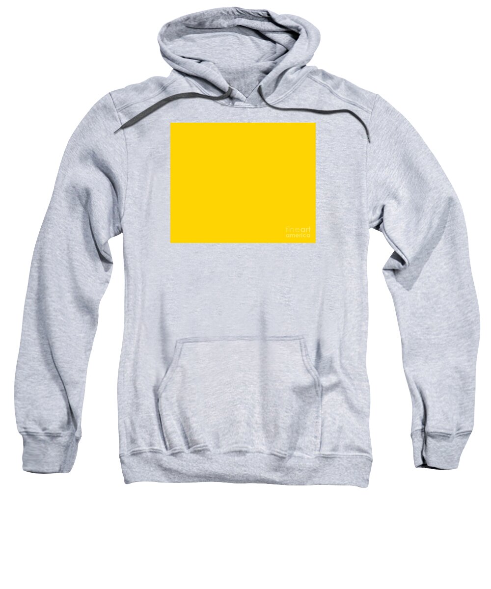Sun Sweatshirt featuring the digital art Sunny day by Pauli Hyvonen