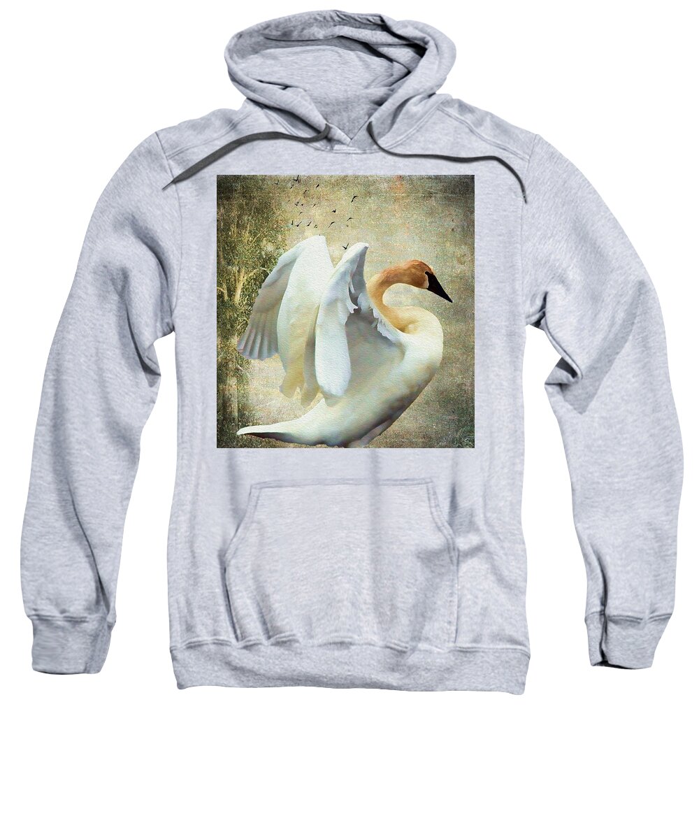 Bird Sweatshirt featuring the photograph Swan - Summer Home by Kathy Bassett