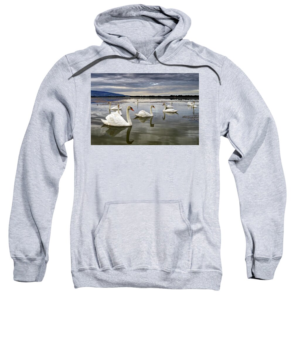 Water Sweatshirt featuring the photograph Swans by Ivan Slosar