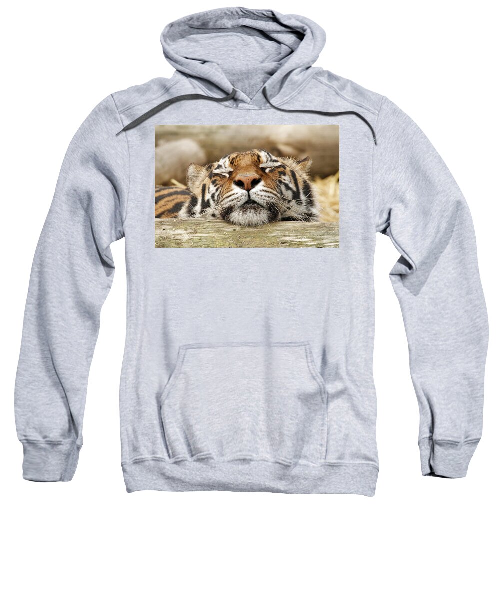 Tiger Sweatshirt featuring the photograph Sweet Dreams by Steve McKinzie
