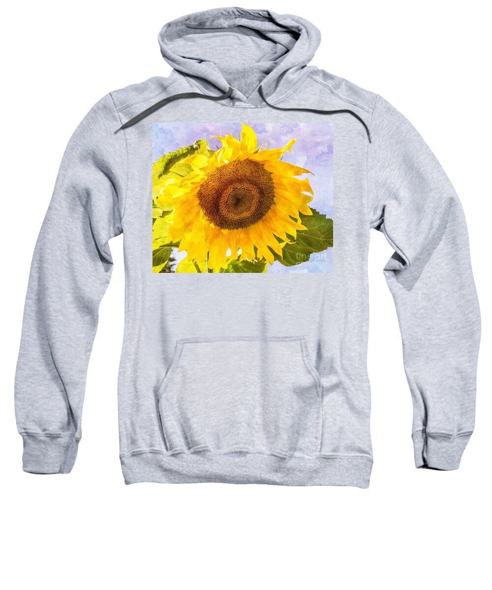 Sunflower Sweatshirt featuring the photograph Sweet Sunflower by Arlene Carmel