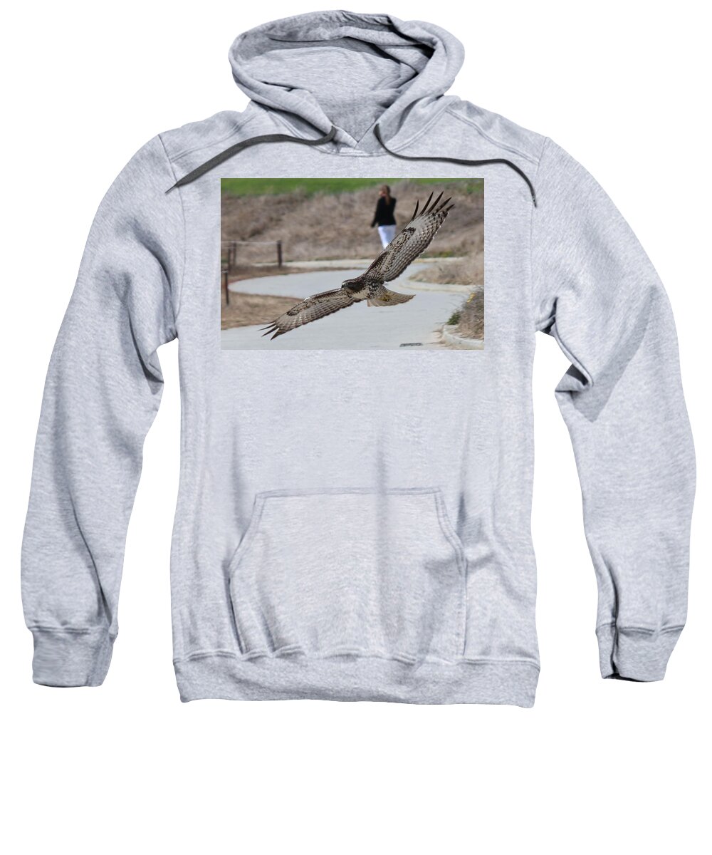 Hawk Sweatshirt featuring the photograph Swoop by Christy Pooschke