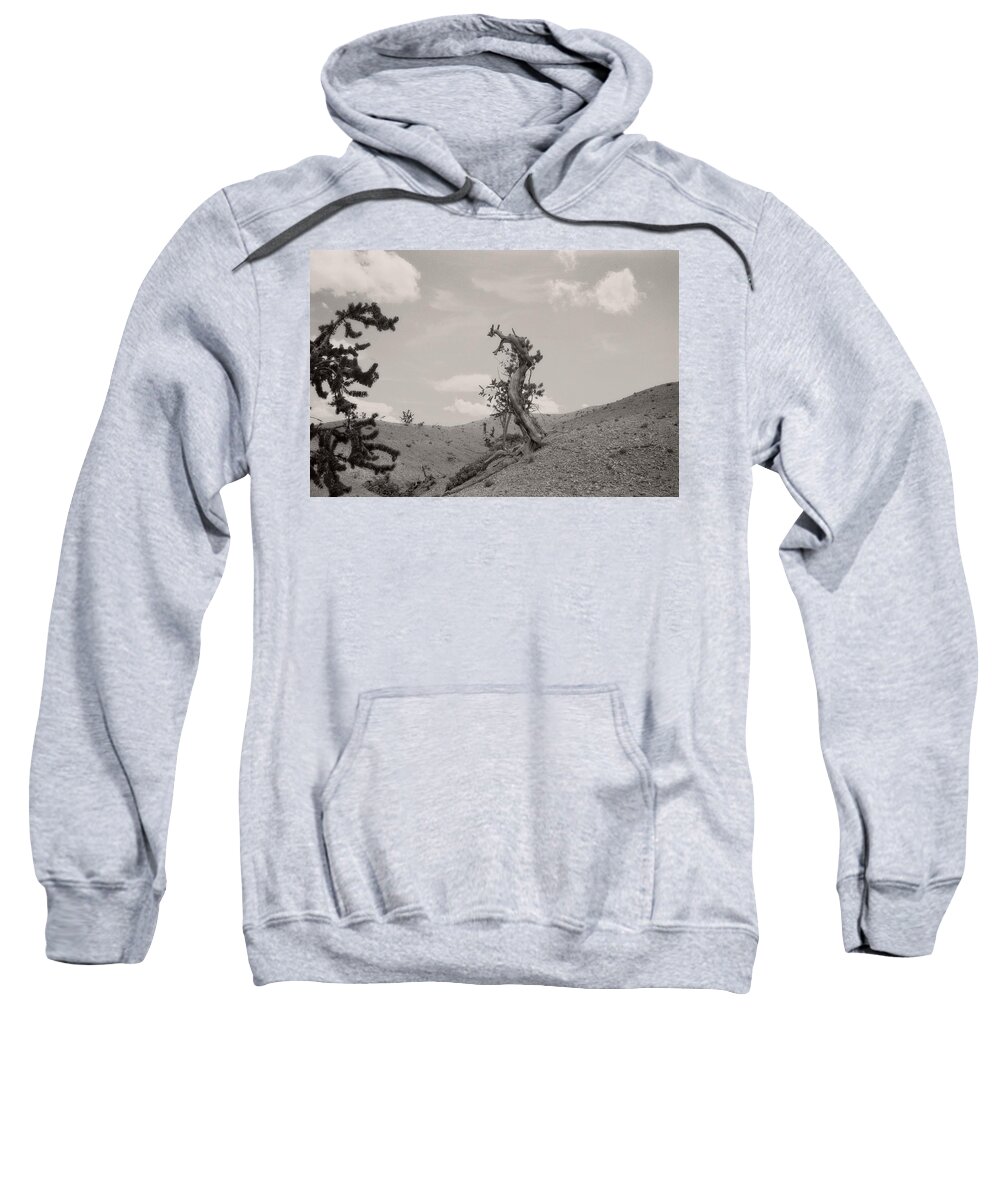 Utah Sweatshirt featuring the photograph Talking Trees in Bryce Canyon by Carol Whaley Addassi