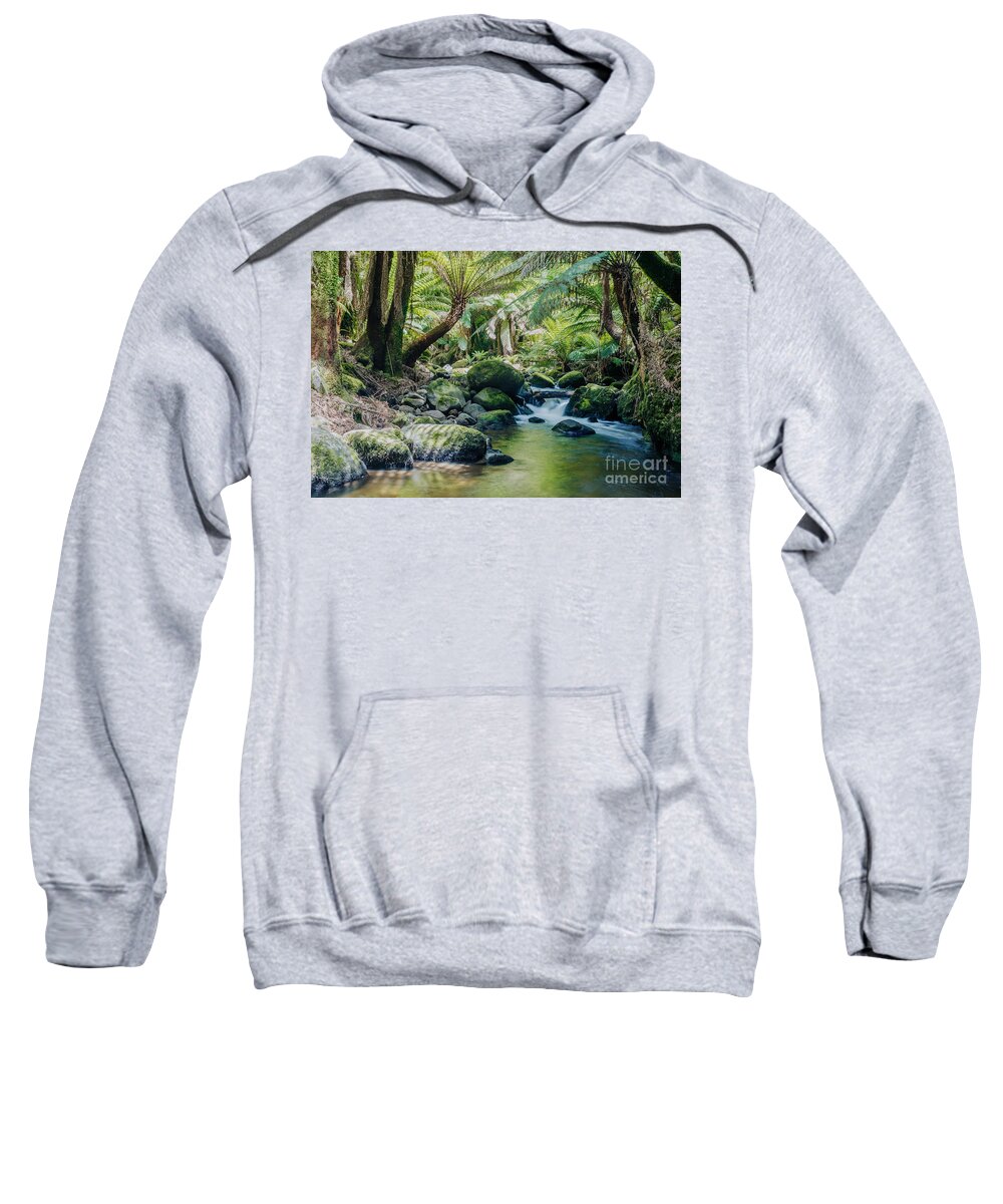 Rainforest Sweatshirt featuring the photograph Tasmanian rainforest by Matteo Colombo