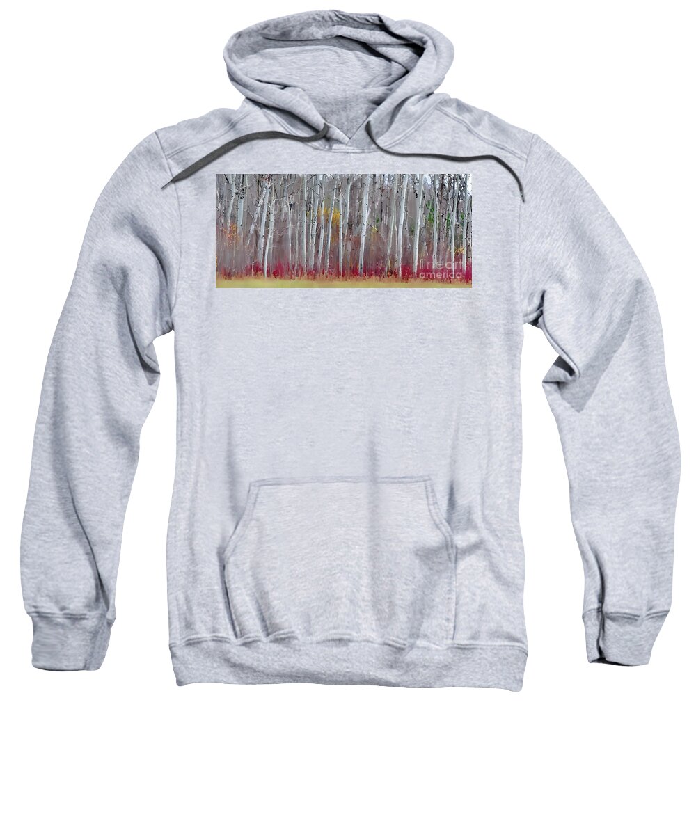 Fall Panorama Sweatshirt featuring the photograph The Birches Panorama by Andrea Kollo