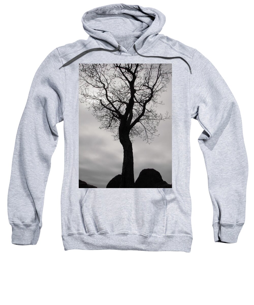 Tree Sweatshirt featuring the photograph The Chill of Spring in the Shenandoah by Nicole Angell