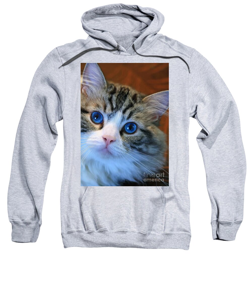 Cats Sweatshirt featuring the photograph The Eyes Have It by Geoff Crego