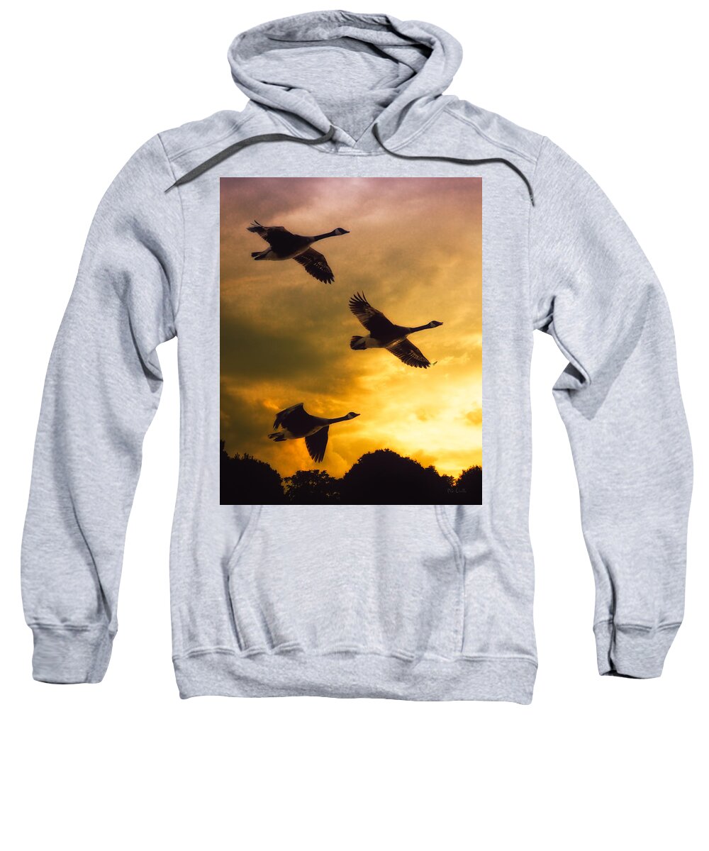 Geese Sweatshirt featuring the photograph The Journey South by Bob Orsillo