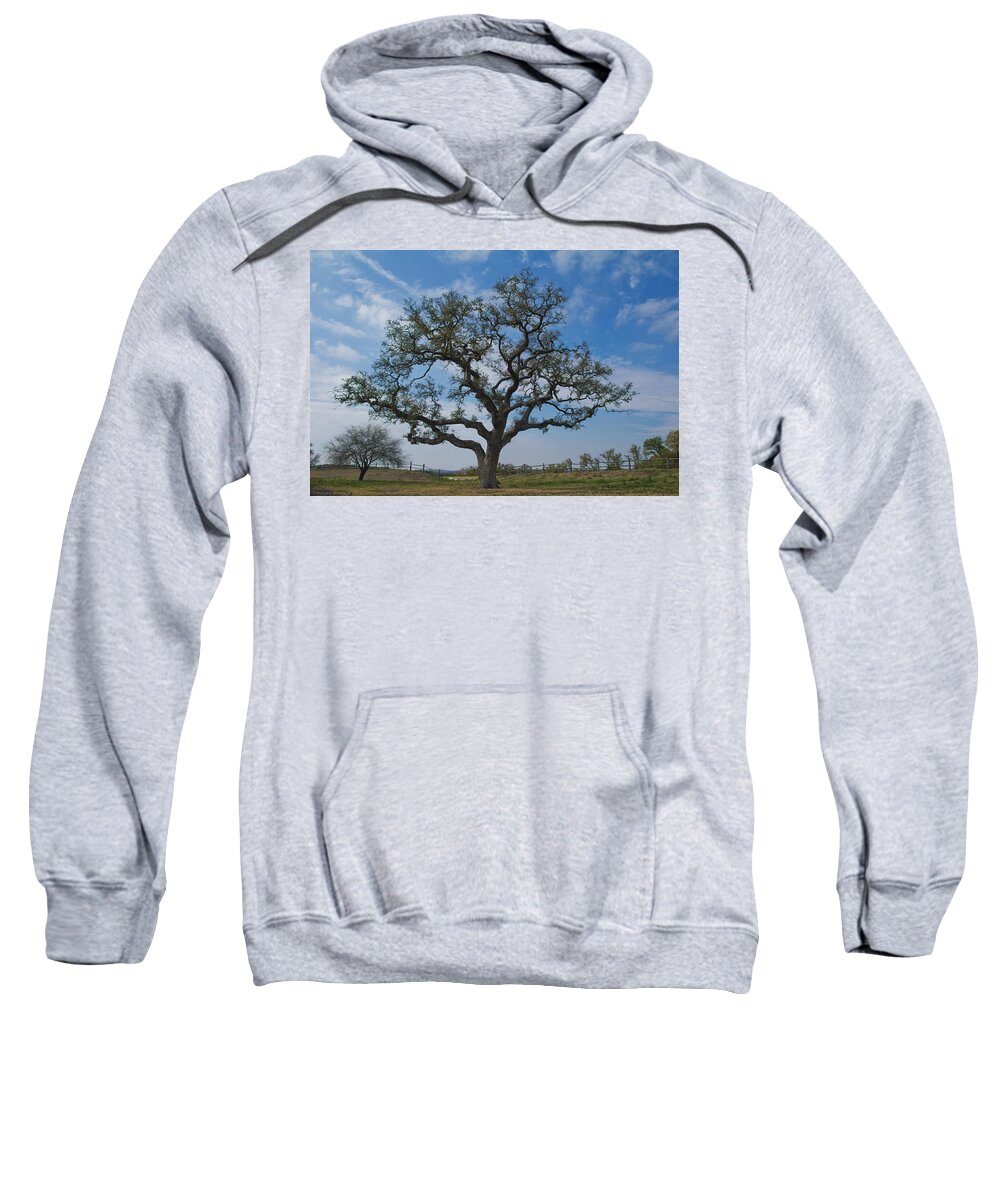 Texas Live Oak Sweatshirt featuring the photograph The Sentinel by Jemmy Archer
