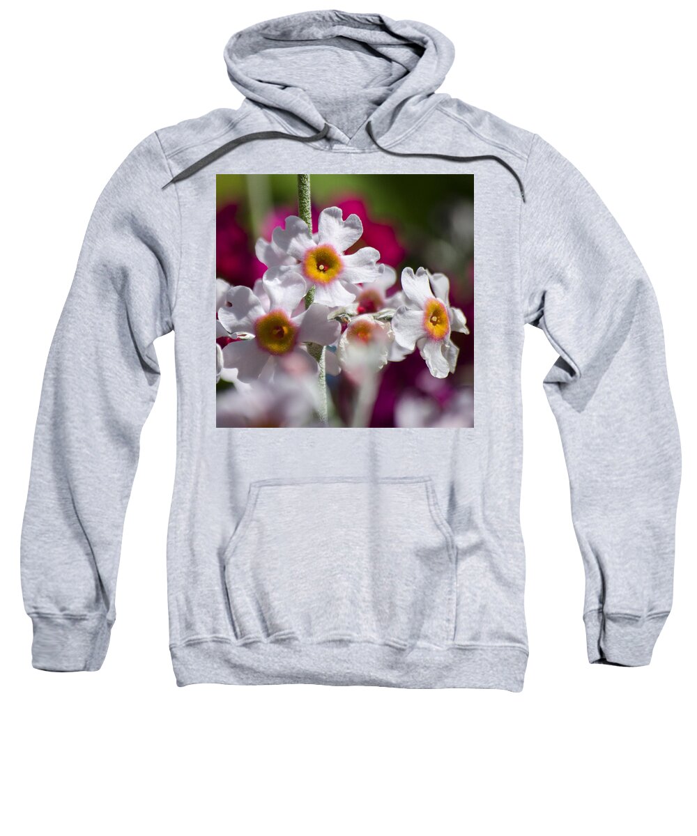 Flowers Sweatshirt featuring the photograph Three Yellow Faces by Spikey Mouse Photography