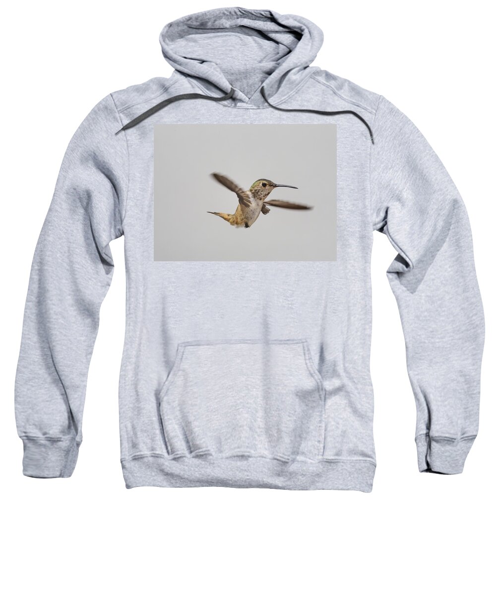Allen's Hummingbird Sweatshirt featuring the photograph Too Fast by Mike Herdering