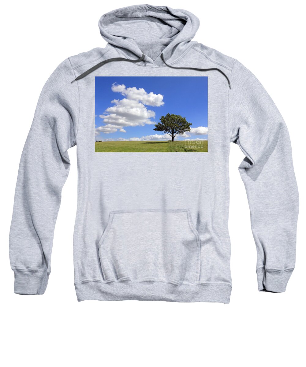 Tree With Clouds Sweatshirt featuring the photograph Tree with clouds by Julia Gavin
