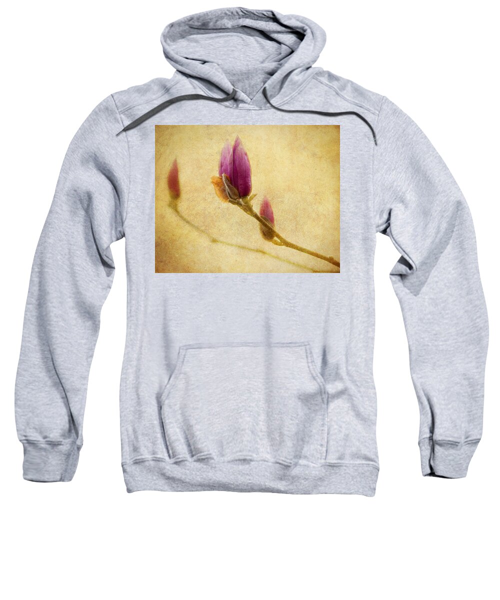 Japanese Magnolia Sweatshirt featuring the photograph Waiting to Bloom by Jeff Mize