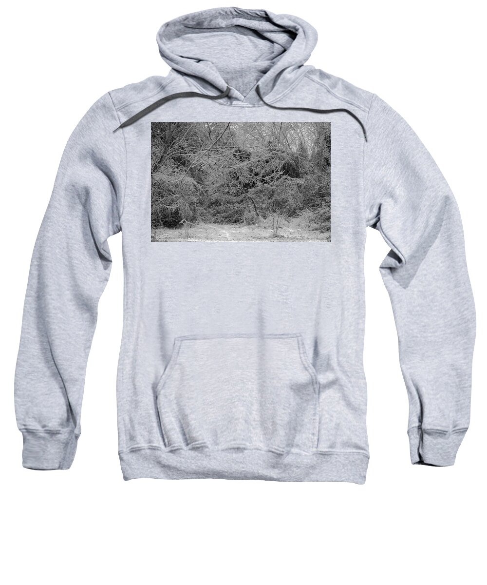 Ice Sweatshirt featuring the photograph Where Is The Trail by Daniel Reed