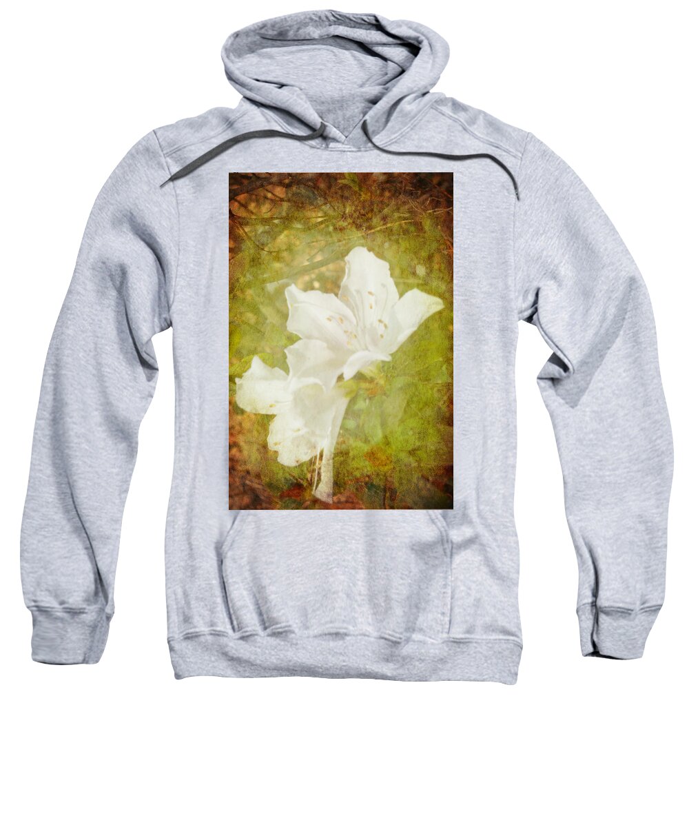 Flower Sweatshirt featuring the photograph White Azalea by Judy Hall-Folde