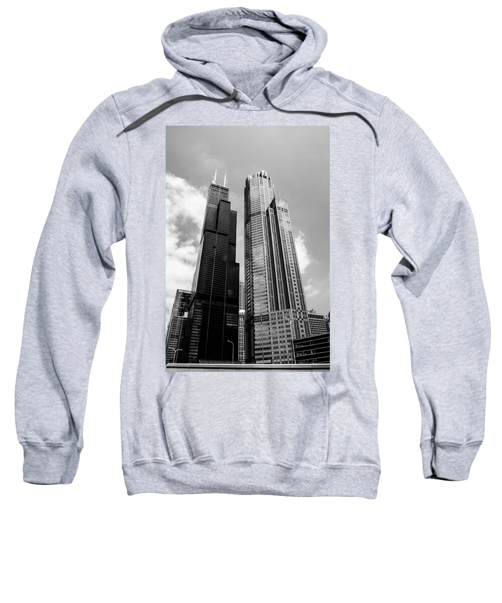 Chicago Sweatshirt featuring the photograph Willis and Friend by Lauri Novak
