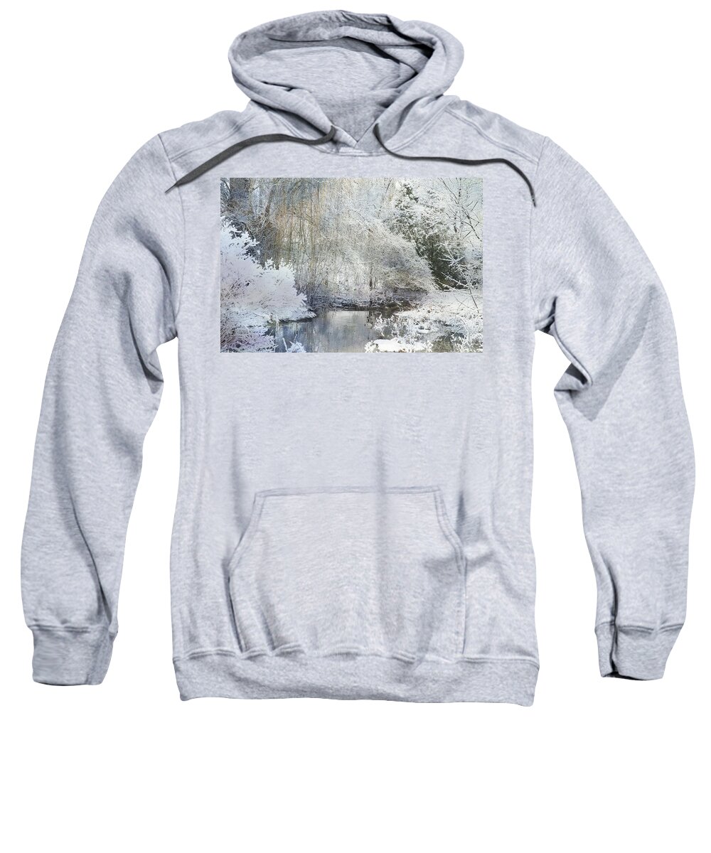 Evie Sweatshirt featuring the photograph Winter Frost Grand Rapids Michigan by Evie Carrier