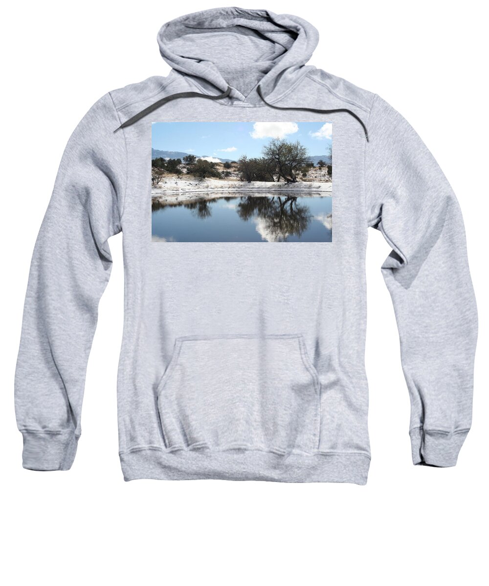 Snow Sweatshirt featuring the photograph Winter Reflections by David S Reynolds