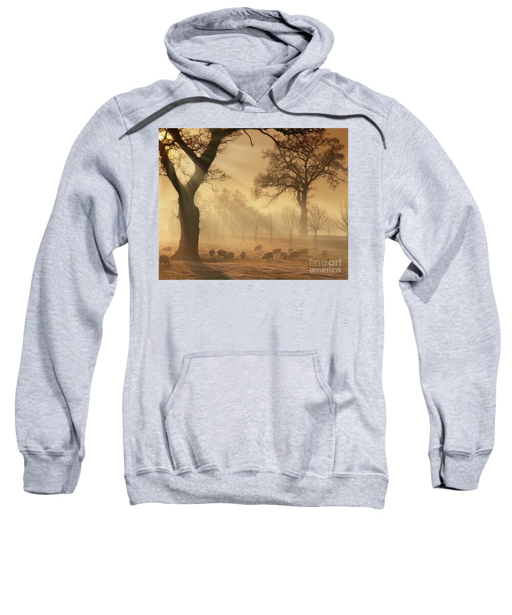 Warm Sweatshirt featuring the photograph Winter's Gold by Edmund Nagele FRPS