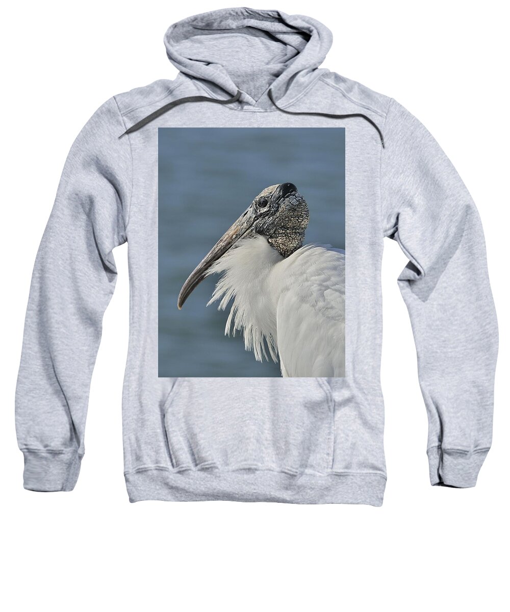 Wood Stork Sweatshirt featuring the photograph Wood Stork Portrait by Bradford Martin