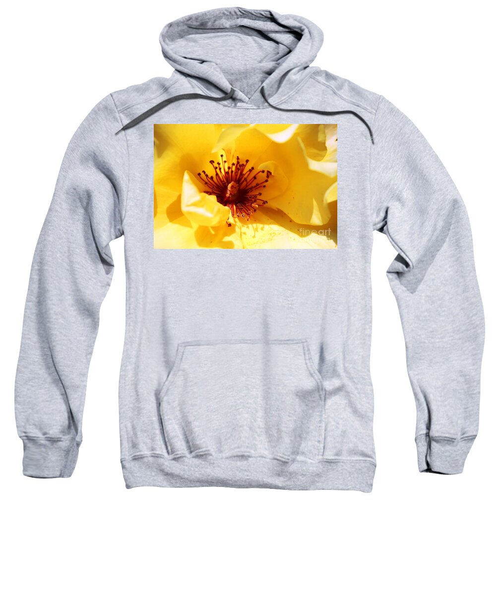 Roses Sweatshirt featuring the photograph Yellow Rose of Texas by Judy Palkimas