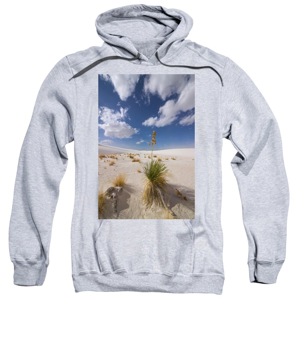 00559170 Sweatshirt featuring the photograph Yucca Growing On Dune In White Sands N by 