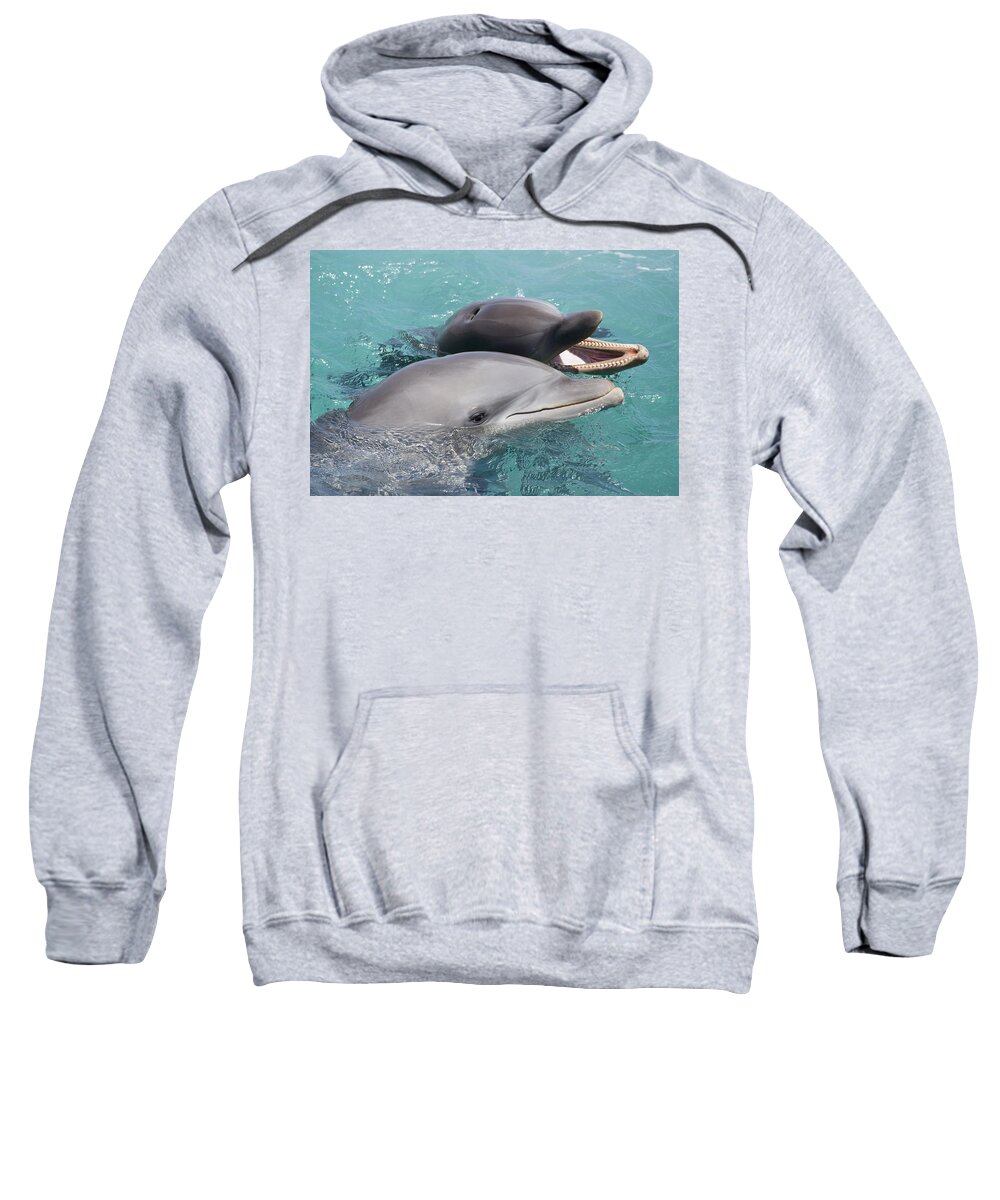 Adult Sweatshirt featuring the photograph Atlantic Bottlenose Dolphins #11 by Dave Fleetham