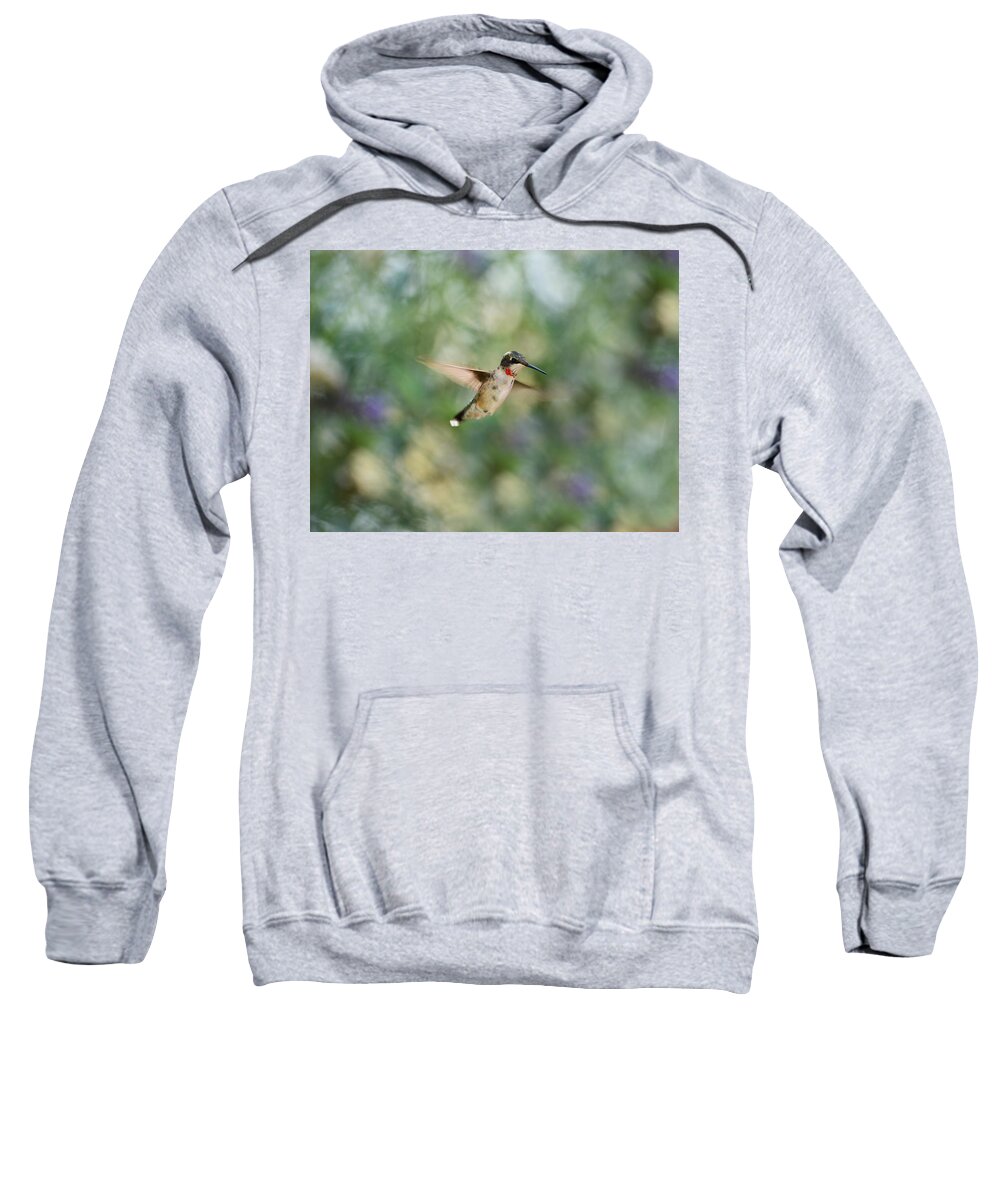 Hummingbird Sweatshirt featuring the photograph A Little Flash of Red by Lori Tambakis