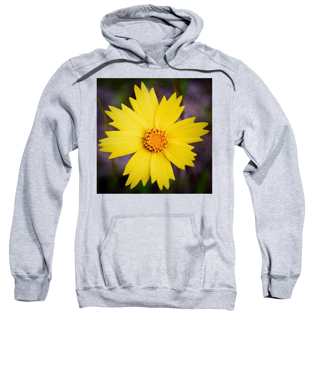Wildflower Sweatshirt featuring the photograph A Little Sunshine by Melanie Moraga