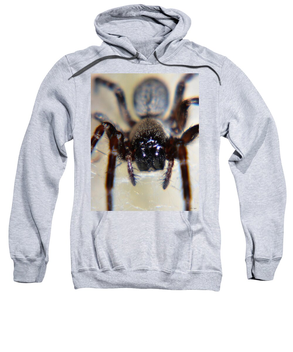 Spider Sweatshirt featuring the photograph Australian Face by Chriss Pagani