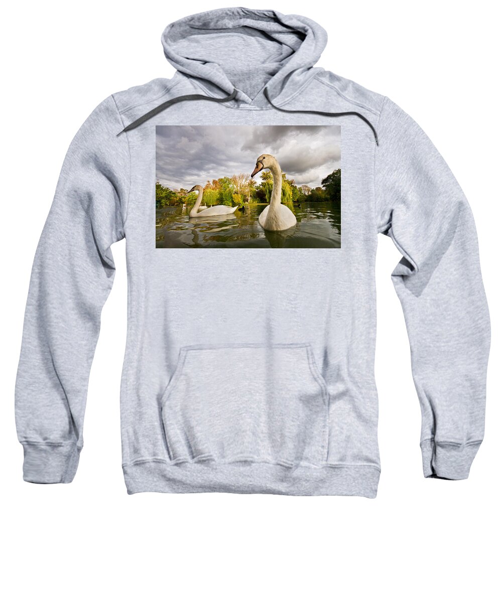 Autumn Sweatshirt featuring the photograph Autumn Swans by Mircea Costina Photography