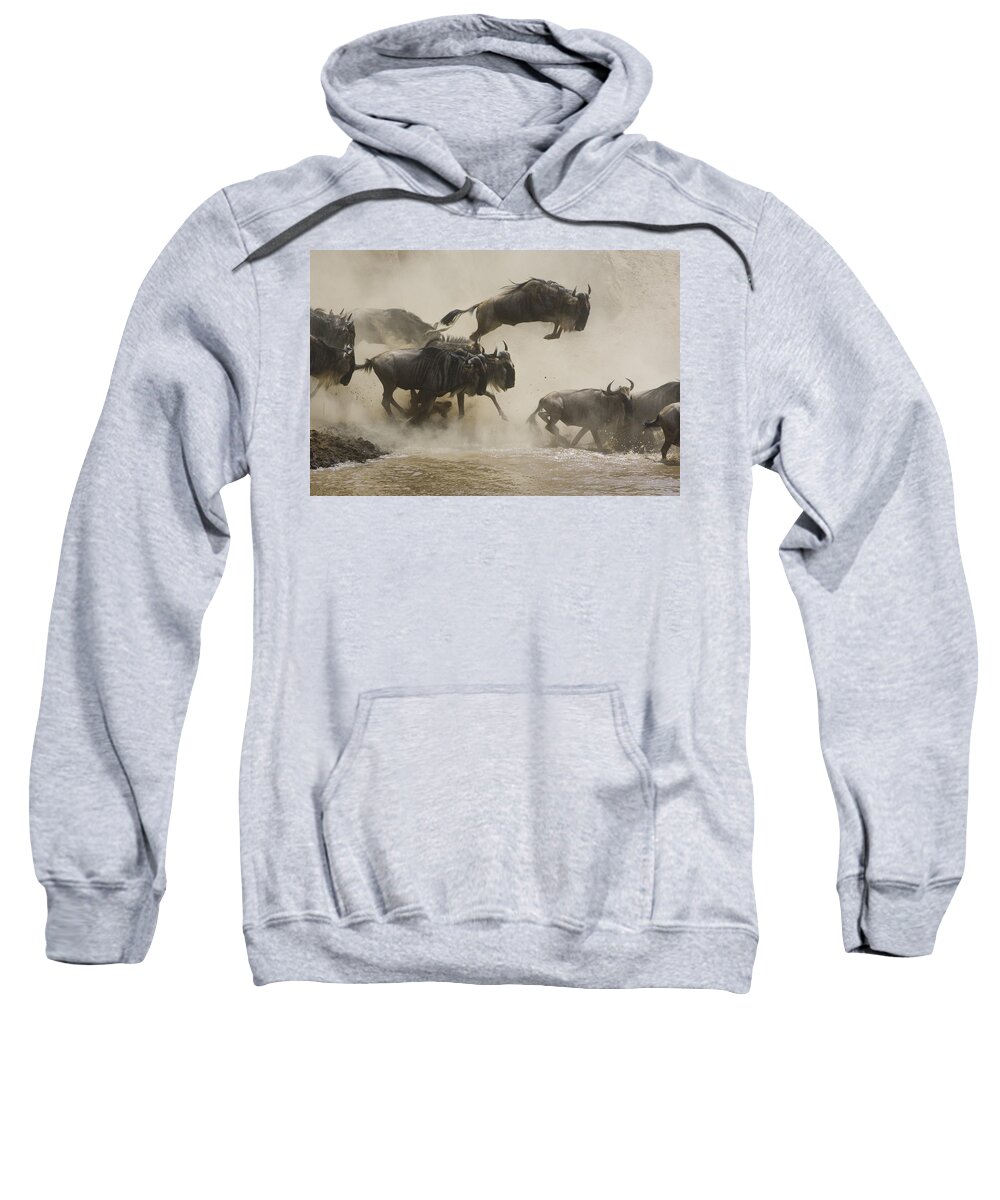 00761256 Sweatshirt featuring the photograph Blue Wildebeest Crossing Mara River by Suzi Eszterhas
