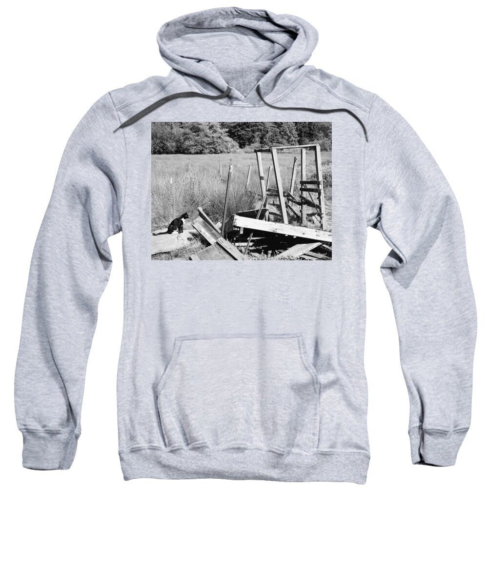 Film Sweatshirt featuring the photograph Cat Examines Destroyed Building by Chriss Pagani