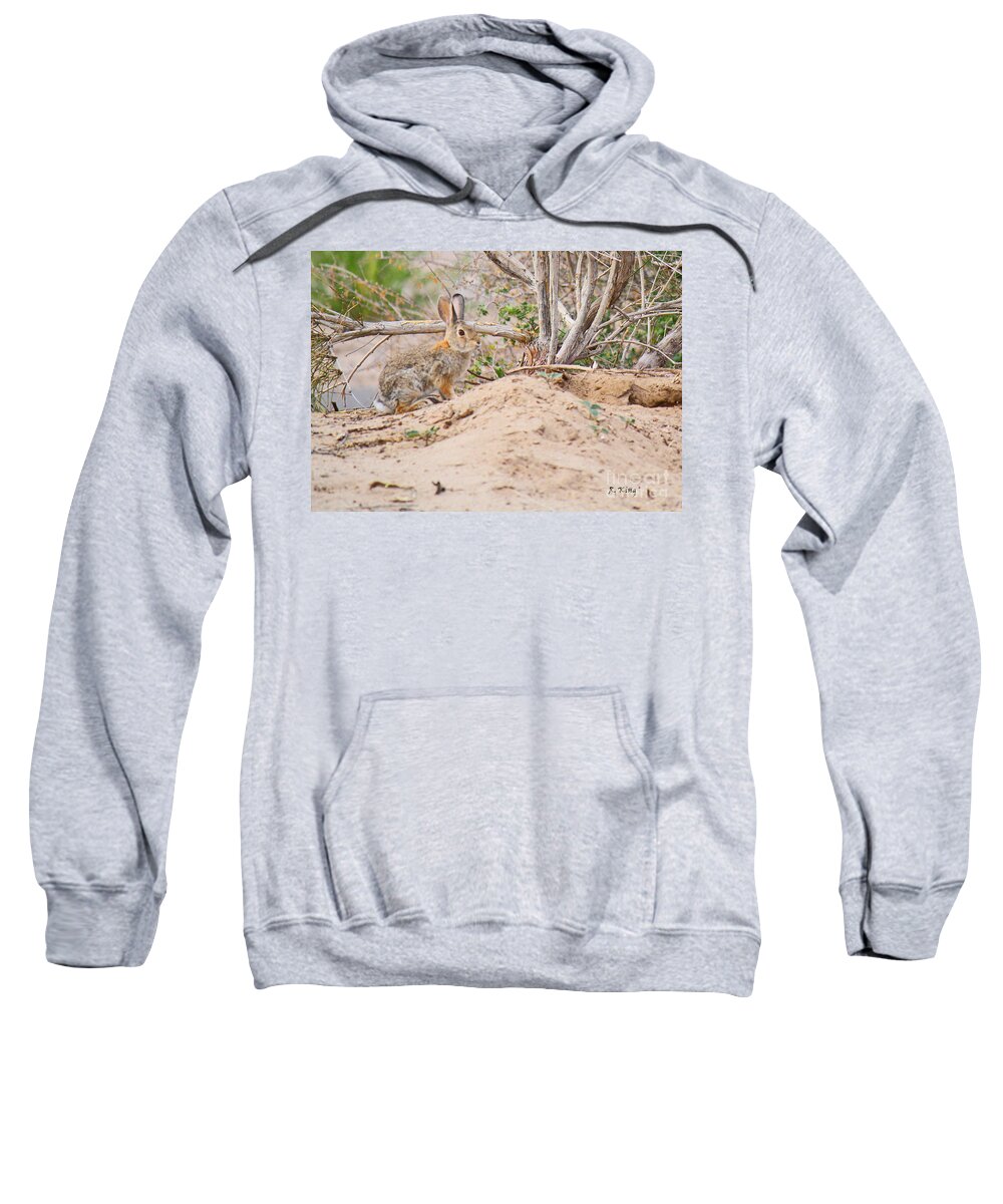 Roena King Sweatshirt featuring the photograph Cottontail Bunny Rabbit by Roena King
