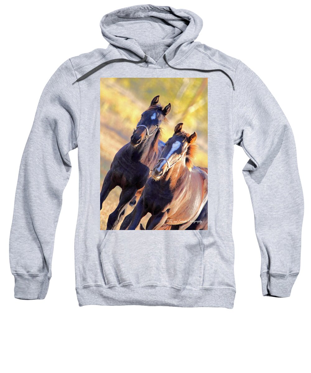  Sweatshirt featuring the photograph 'Curious Georges' by PJQandFriends Photography